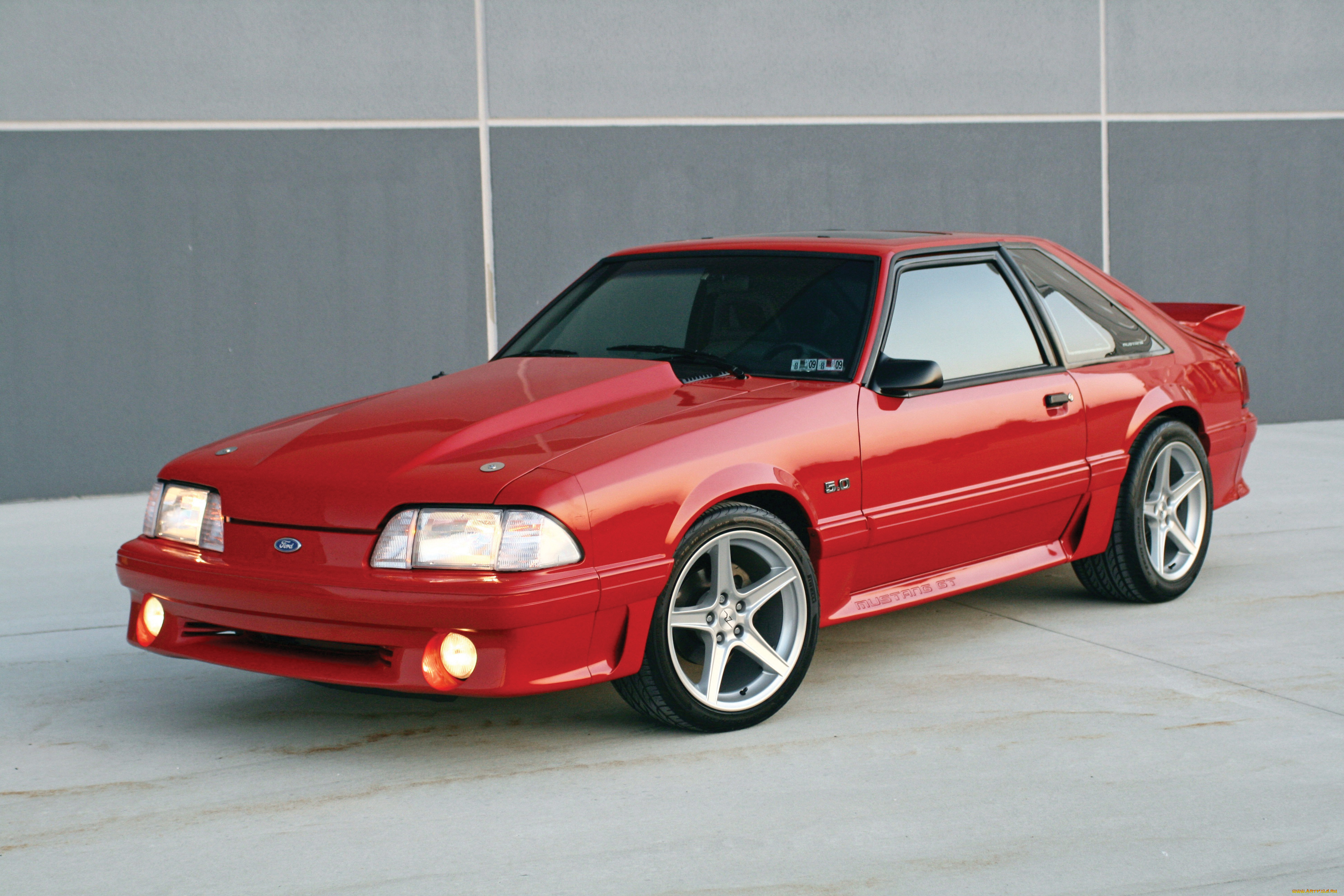 , mustang